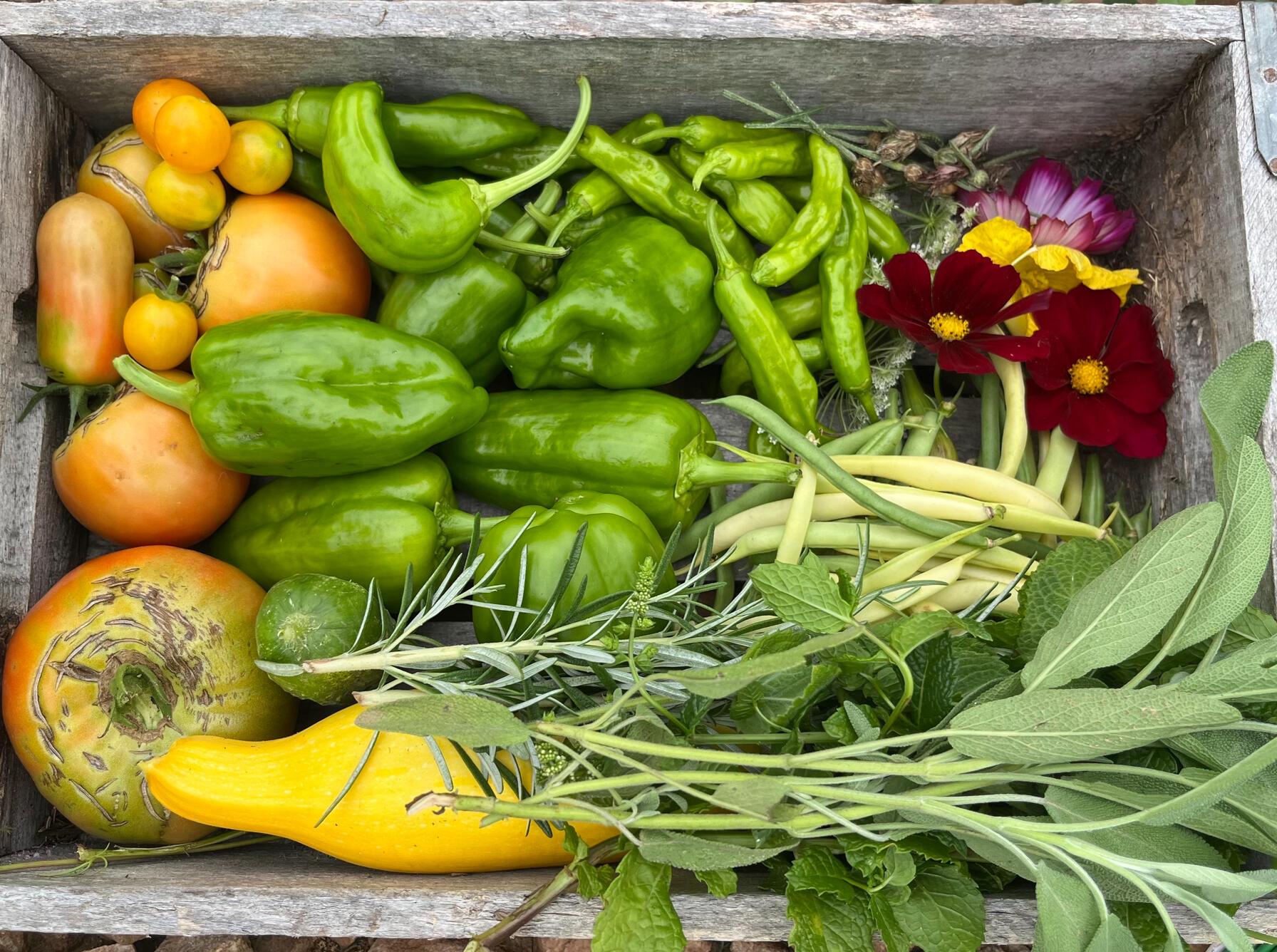 summer bounty a wood basket with vegetables